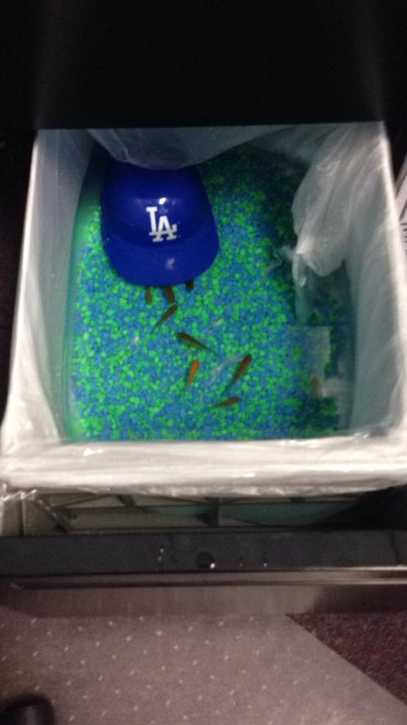 KiingMidas's tweet photo. When your coworkers on vaca n  you're bored at work, the only logical thing to do is build a fish tank in his desk http://t.co/vZIojpr220