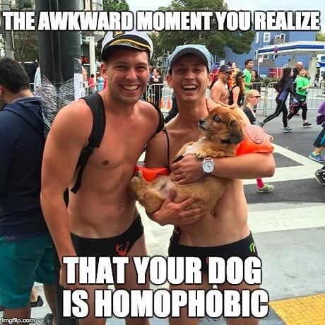 Joke you know your gay when Transsexuel longmint video