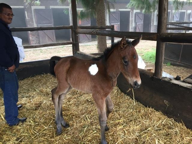 Embedded image permalink