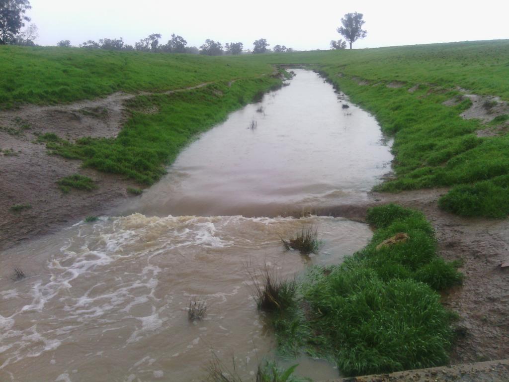 Quiggs's tweet image. Hooligans creek. Nice to see water in it. #Due to recent wet weather the El nino has been postponed.