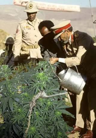 higherheightz23's tweet photo. http://t.co/dABgPCiCnZ