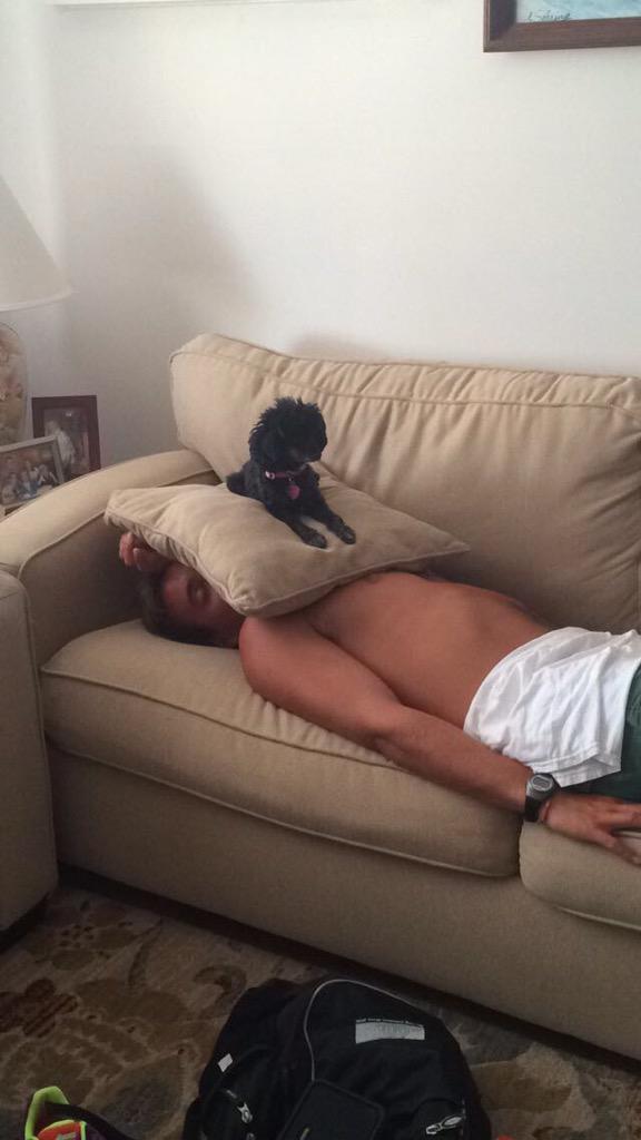 How convenient that #NationalDogDay should fall on #missbridgewednesday **do not try this if you are over 2 pounds**