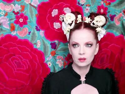 Happy Birthday to the most beautiful & inspiring woman, Shirley Manson I\ll be seeing you twice in October! 