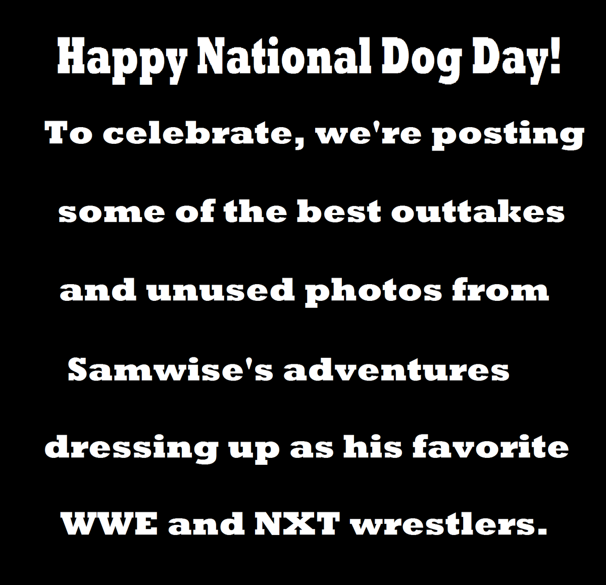 WWWeeSamwise's tweet photo. Happy #NationalDogDay @GotchStyleWWE @WWEDramaKing  #RingPup #outtakes #WWE #WWENXT #NewChamps #IsItFood? http://t.co/u3SrYSzjMM