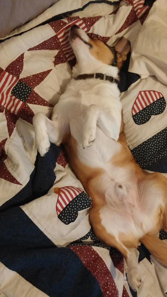 GumpRobin's tweet image. 