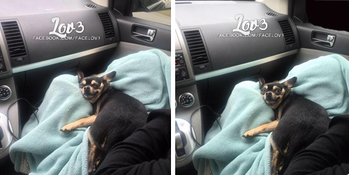 oficialov3's tweet photo. quando você tira uma soneca e dorme mais que o esperado '-' http://t.co/qOuo7JOvgO
