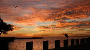 LandmarkFun's tweet image. Let’s go exploring and discover the treasures in Coastal Alabama! Destination---Adventure!! #gulfcoastfun #mobilebay