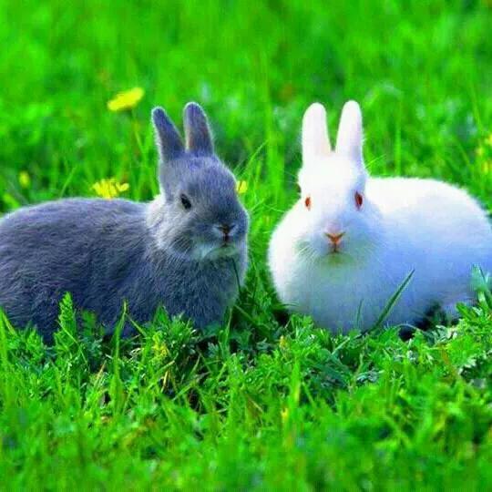 mdkaledbdkaled's tweet image. 