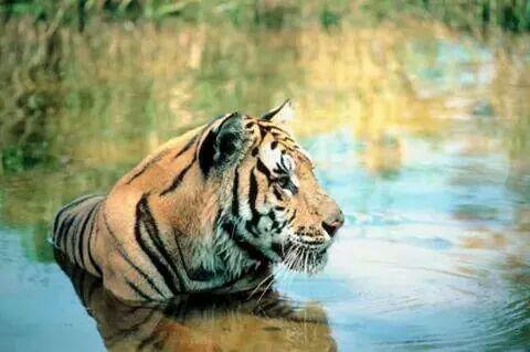 mdkaledbdkaled's tweet image. 