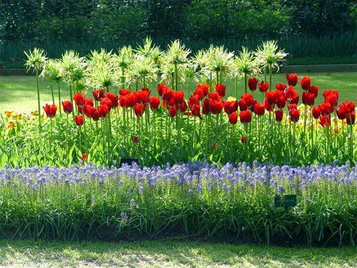 mdkaledbdkaled's tweet image. 