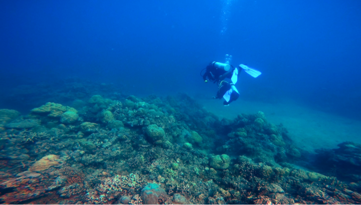 “I fear, not life in the ocean, but the possibility of losing it” #SavetheOcean wp.me/p4Hj75-1qG