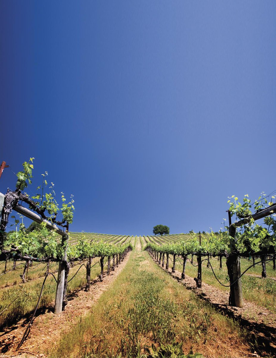 What're your #weekend plans? We say a trip to #winecountry sounds just about perfect right now...