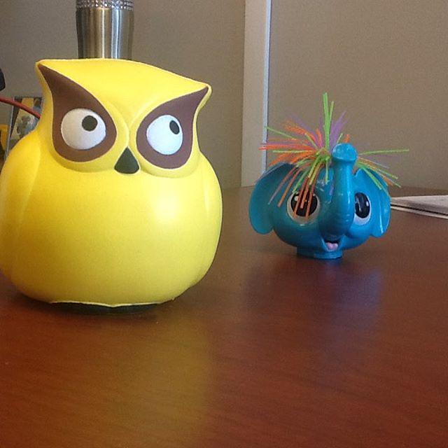 qualitylogo's tweet image. Someone threw this plastic toy elephant into our office. It makes quite a loud noise when … ift.tt/1JQdUg0