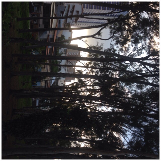 DaniloAndrade13's tweet image. #5k #run2live Acabei de correr 5,03 km com o Nike+. go.nike.com/02libk9h #nikeplus