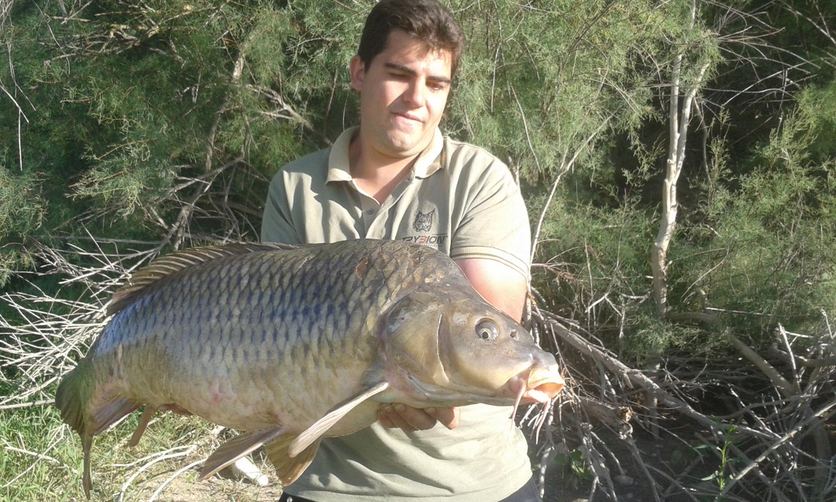 Gran captura por parte del equipo TRYBION el mes pasado