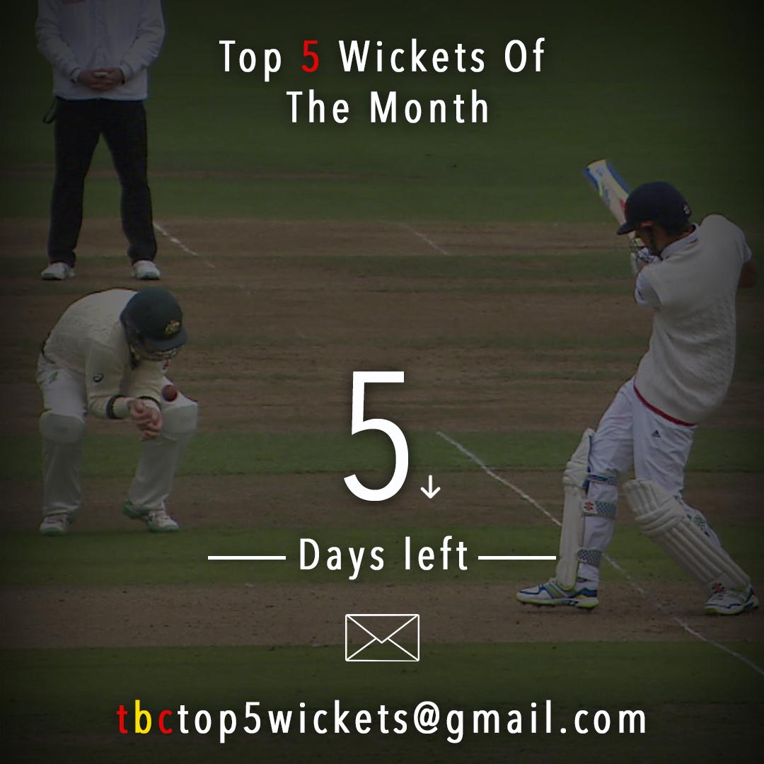 TheBackyardCricketer tweet media