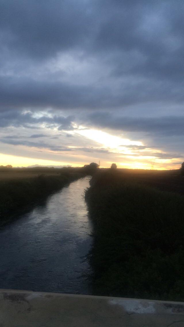 Jacob Moore tweet media