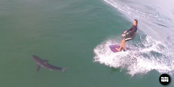Drone graba #StandUpPaddle pasando por encima de un #tiburón. (vídeo)
goo.gl/qWIp0v
sindustrysurf.com
