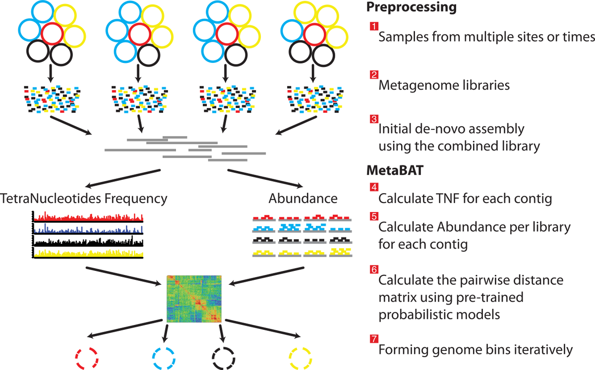 thePeerJ's tweet photo. MetaBAT, an efficient tool for accurately reconstructing single genomes microbial communities http://t.co/MR3Jzjdfwj http://t.co/pbU5brq9nT