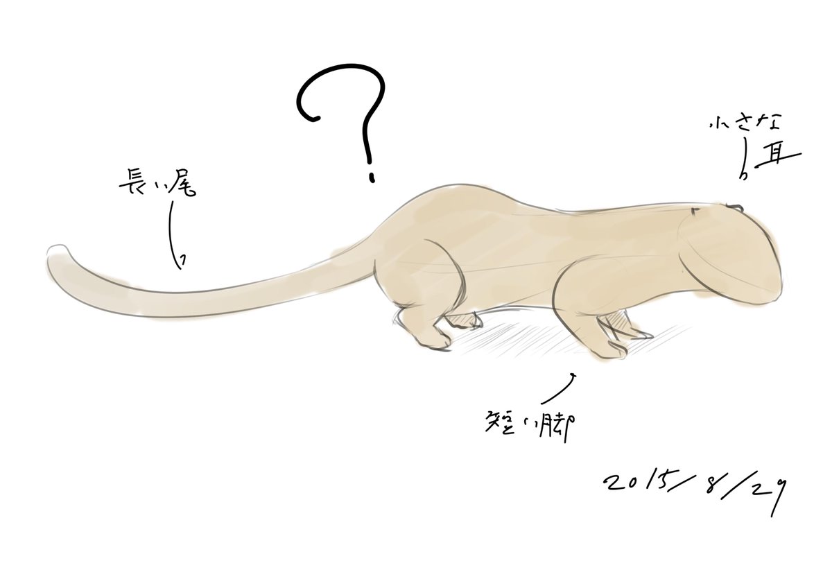 赤月レンガ Twitterren 帰り道でこんなシルエットの動物に遭遇しました 大きな猫くらいのサイズ 短い手足でフェンスを上り下り 長い尻尾を引きずって歩く あまり人を警戒している様子もない ハクビシンなら地物にいましたけど 東京にもいるんですかね Http T Co 赤月レンガ Twitterren 帰り道でこんなシルエットの動物に遭遇しました 大きな猫くらいのサイズ 短い手足でフェンスを上り下り 長い尻尾を引きずって歩く あまり人を警戒している様子もない ハクビシンなら地物にいましたけど 東京にもいるんですかね Http T Co