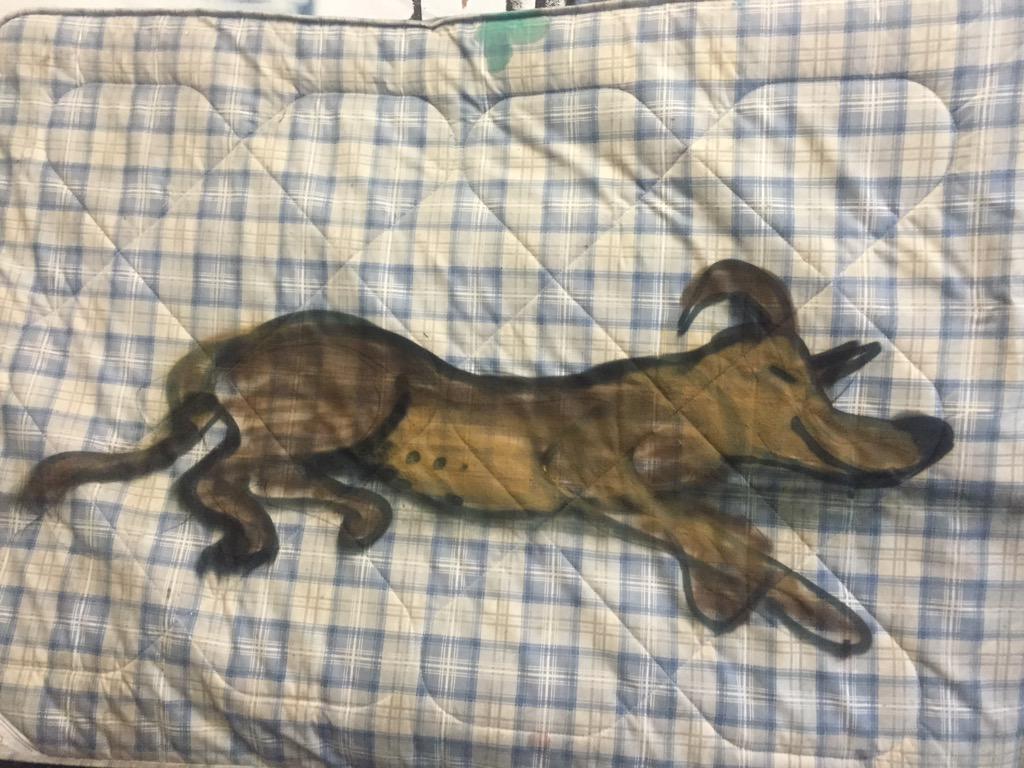 xnz's tweet image. Ok it's not photorealistic.  Well it is from very far away trust me. #letsleepingdogslie #nothingreallymattress