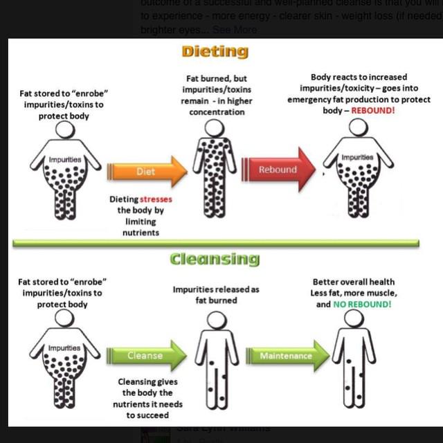 TrueFitForever's tweet image. Clean from the inside out? We're looking 4 10 ppl to try our 9 day cleanse. Rid ur body of harmful toxins Order by DM