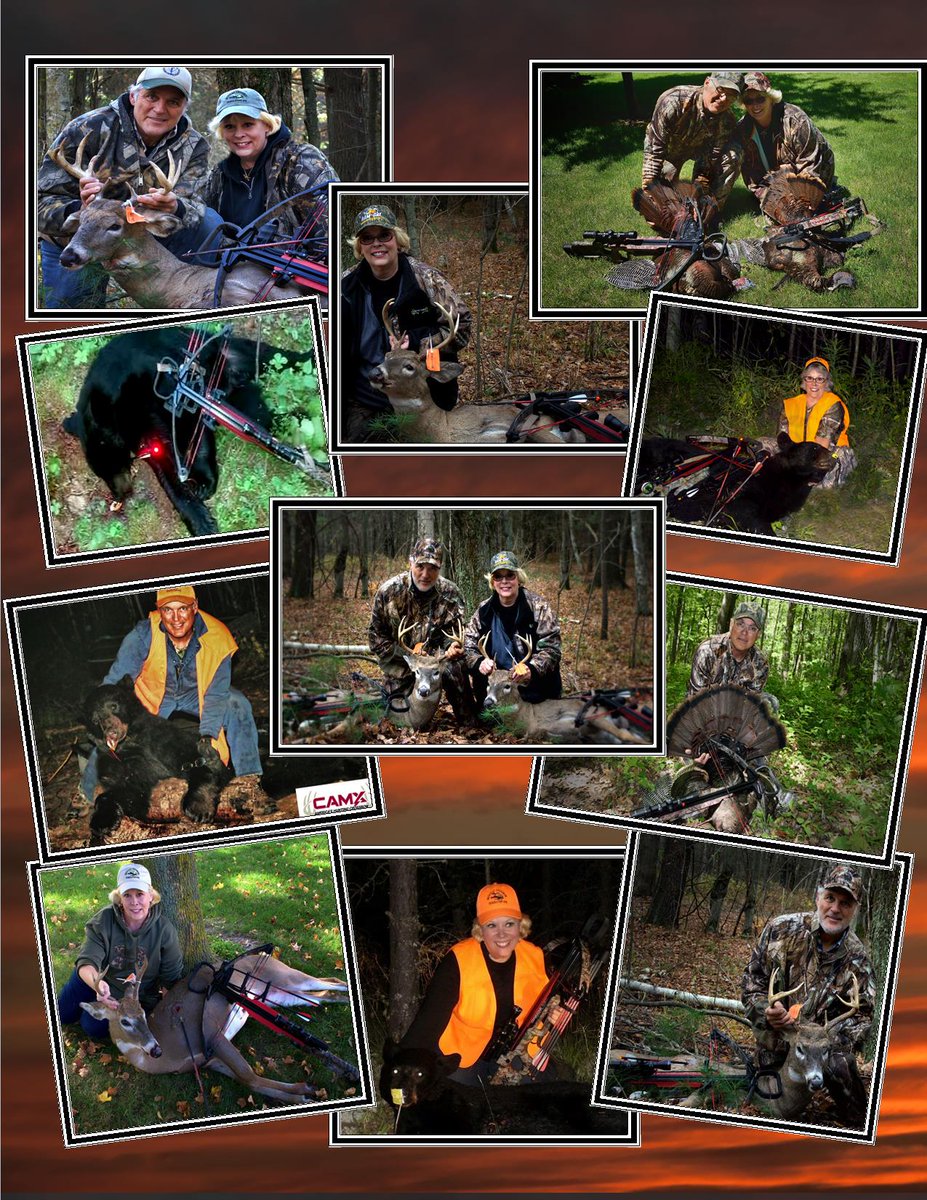 Ramcat Broadheads tweet media