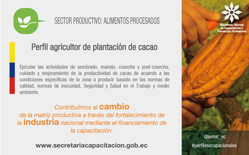 setec_ec's tweet photo. Perfiles validados por la SETEC para el cambio de la matriz productiva. http://t.co/JemBX7Wfyy http://t.co/YhEHMzfHxV