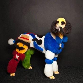 7 Insane Things People Did To Make Their Pets Look Insane - goo.gl/1KjKAa