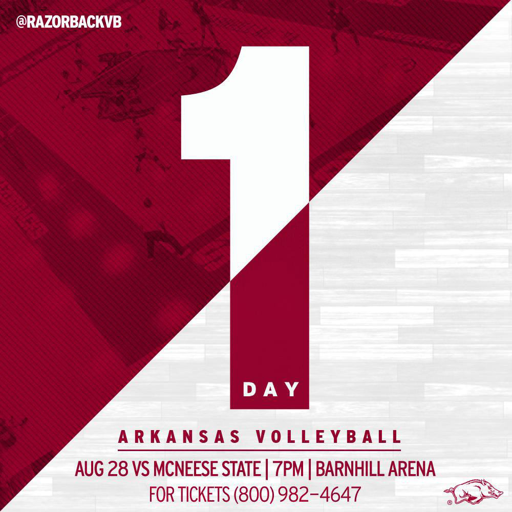 ArkRazorbacks's tweet photo. Season starts TOMORROW. Follow @RazorbackVB and help them reach 5,000 followers. #VB5K http://t.co/lAexnIRJ2d