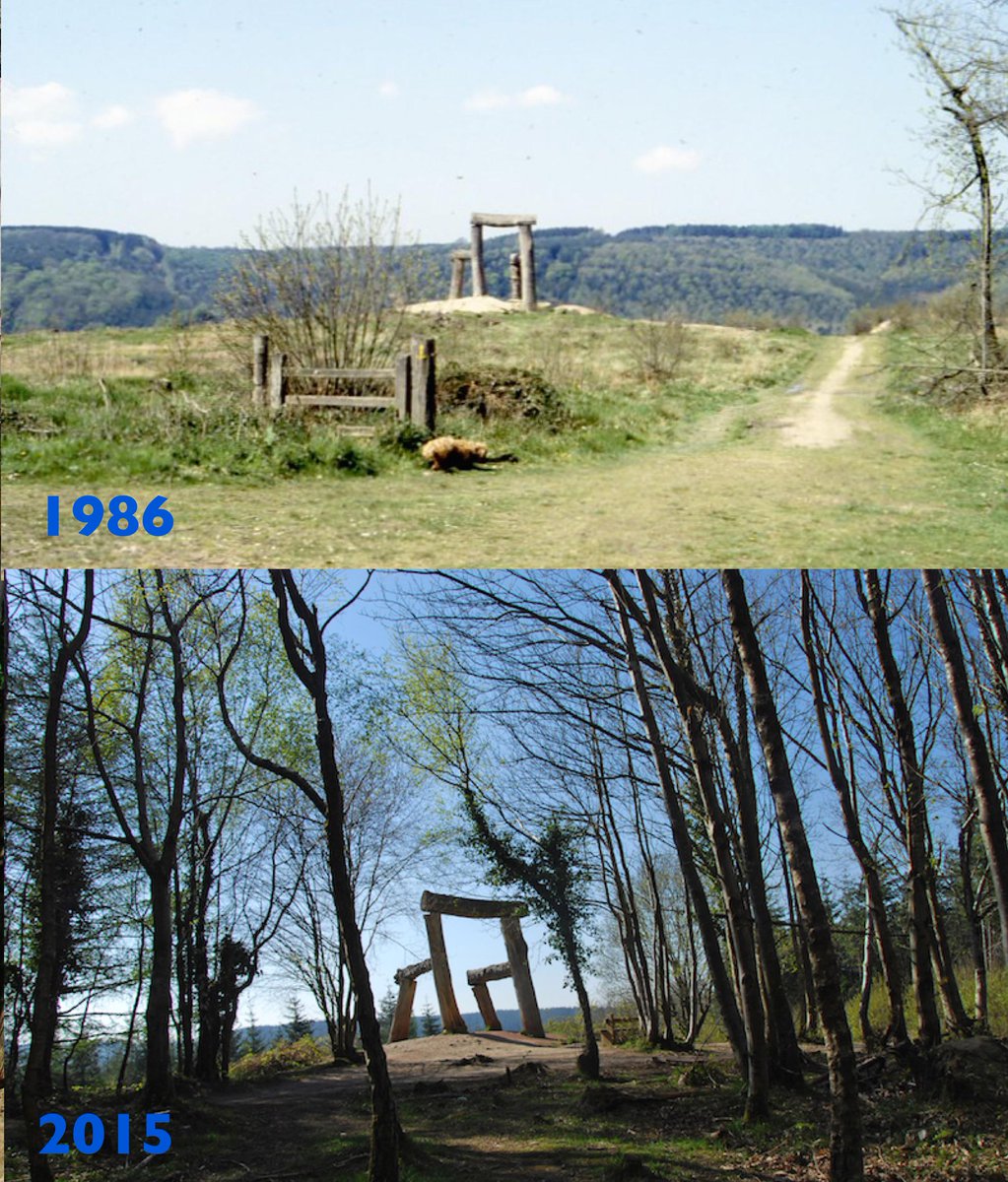 FODSculpture's tweet image. Share your memories of The Giant's Chair with us #memoriesofplace #ForestofDean #FOD #Glos E: fodsculpture@gmail.com