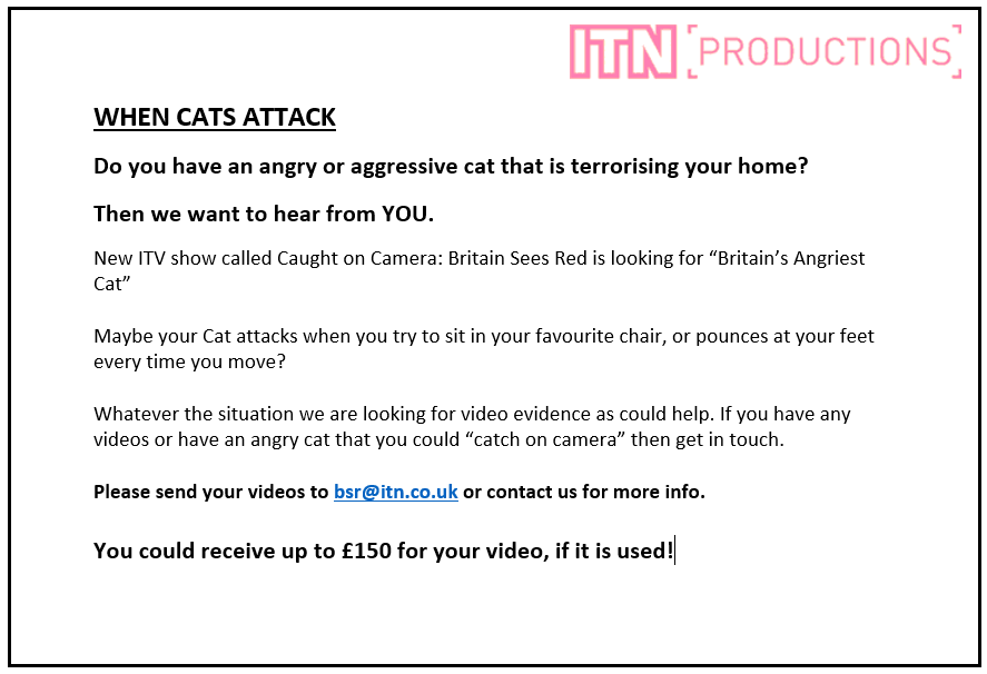 castinggenie's tweet photo. @sdohertyy Hey! Saw this and thought you might be interested in a new ITV programme looking for #angrycats!? http://t.co/KbIisA2bof