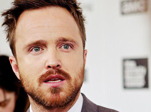HAPPY BIRTHDAY AARON PAUL YOU CUTIE I LOVE YOU TO DEATH MY LITTLE CINNAMON BUN 