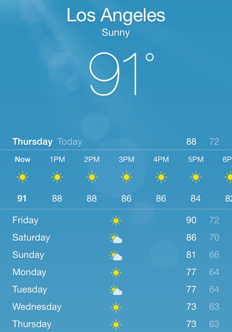 NGBA Boxing tweet media