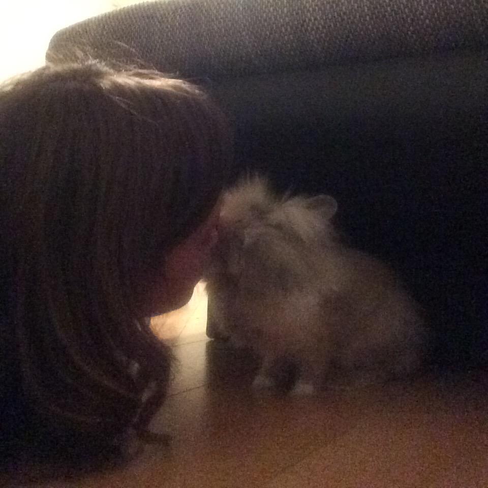 ana_strophe's tweet photo. Trop d'#amour ! #lapin http://t.co/VhVEfptAEn