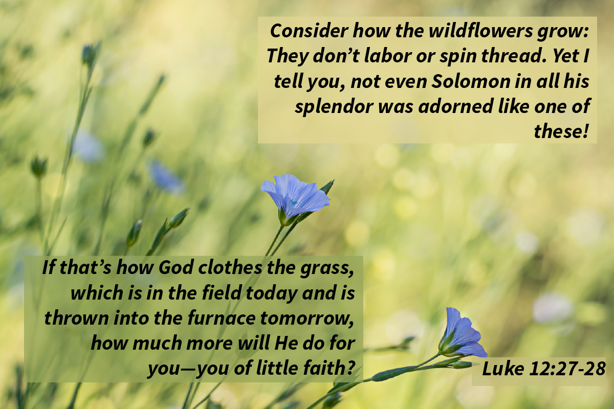 "...We, whom he loves more than these, have nothing to worry about, because God has a plan." fcaresources.com/devotional/per…