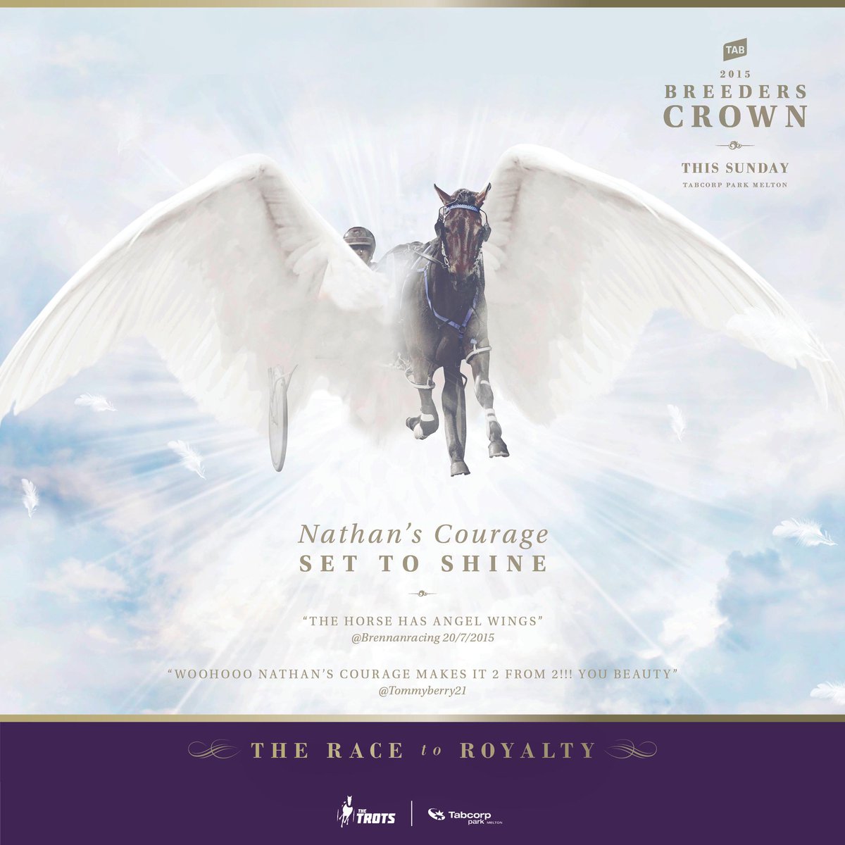 Good luck to <a href="/TommyBerry21/">Tommy Berry</a> &amp; <a href="/4tracks4kids/">4tracks4kids</a> on Sunday with Nathans Courage in the Breeders Crown Final. #RaceToRoyalty