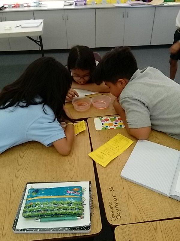 mrslewisclass's tweet image. Skittle Experiment #5b #scienceprocess