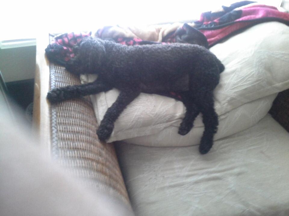 chyncxcol's tweet image. 