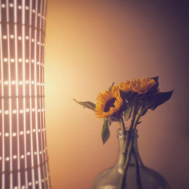 BeyondTheLens's tweet image. This life is splendid!