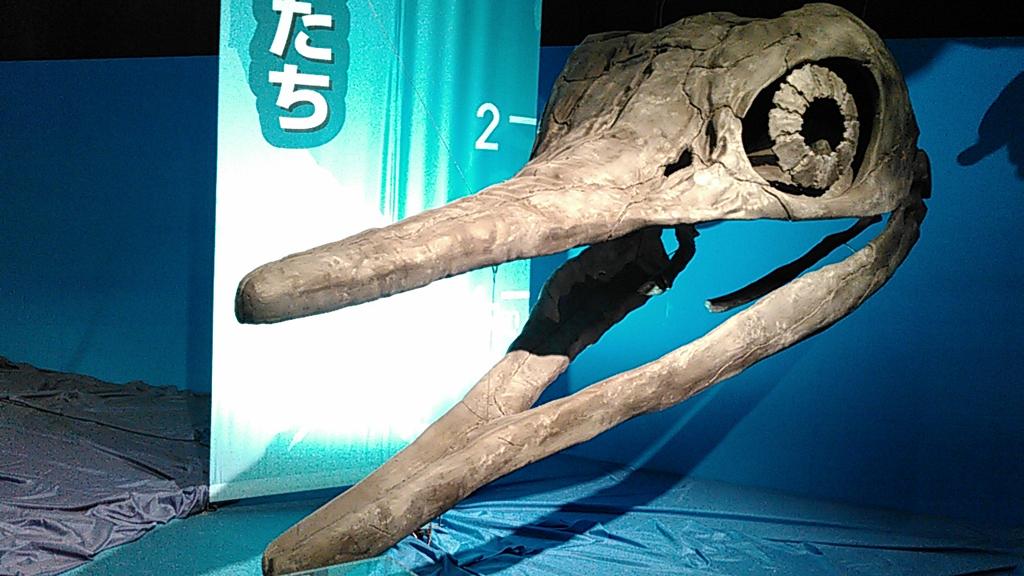 佐々木義人 軽率に足を運びたい系シティモヒカン ジュラ充 海は 今も昔も巨大生物の宝庫 首長竜の 首が長い理由 利点 は 今なお解明されていないという 事実が想像を振り回してるの すごく面白い メガ恐竜展 Http T Co Zdysdf1ogg