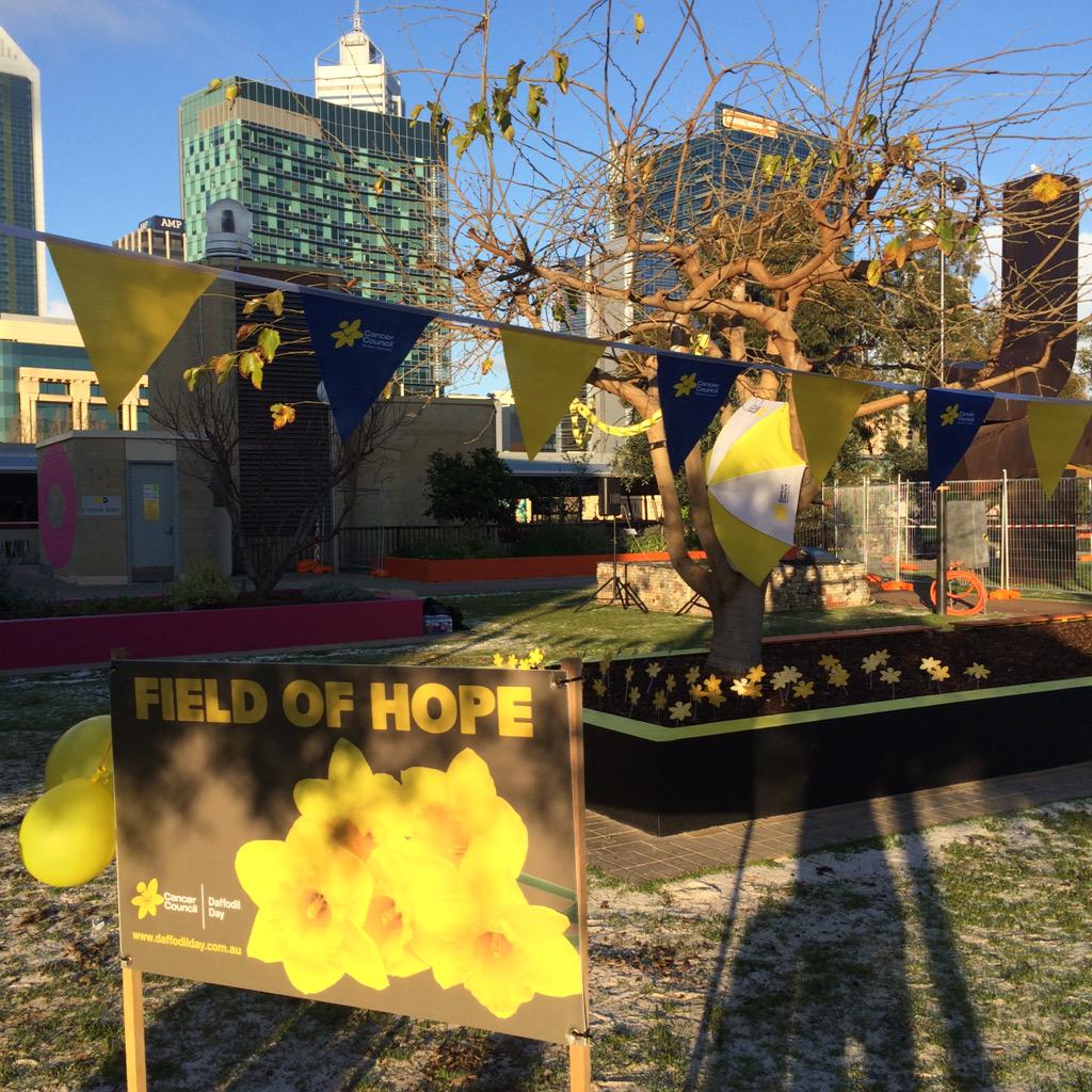 CancerCouncilWA's tweet image. We're in the #perthculturalcentre! Pop down and see us, #perth! #DaffodilDay