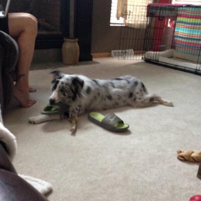 CoachBeyer's tweet photo. One less usable slide in the house http://t.co/zIROBAkifu