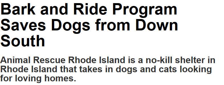 animalrescueri's tweet photo. Check out the recent @RIMonthly article about our new state-of-the-art shelter and how we save dogs from the south! http://t.co/cDZp6VgqlZ