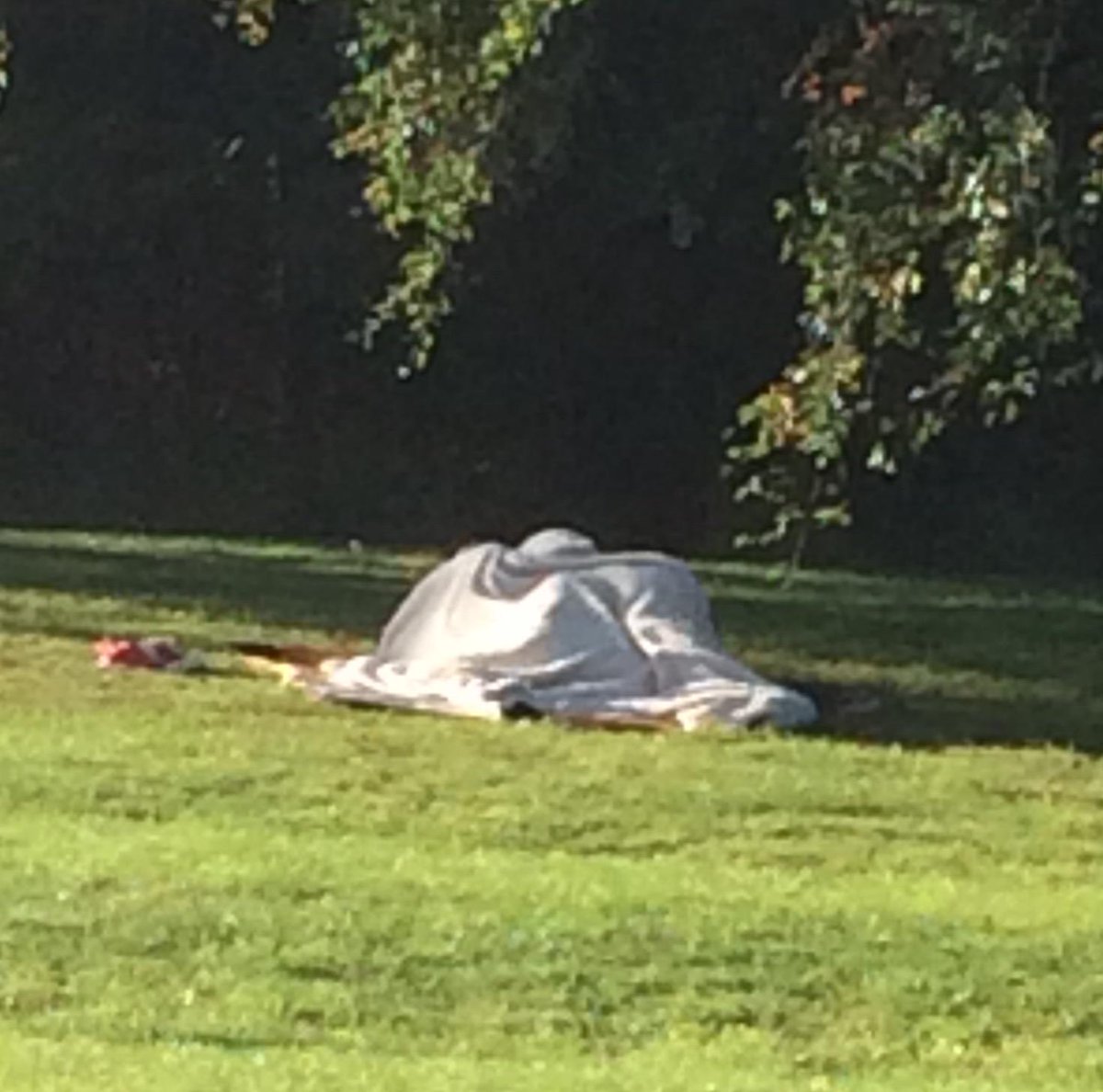 BecomingBeige's tweet photo. #camping in the park saves on B&B #BeingBeige @SanctuaryXposed @Goodfooddrink @CloudNineHypno @brum_living http://t.co/r7w4Y8MJGU