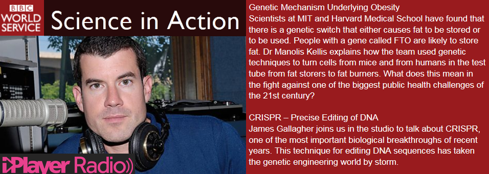 manoliskellis's tweet photo. Obesity master switch and genome editing @BBC Science In Action 7'37"-15'10" http://t.co/i94AlRGGB7 #FTOlocus #CRISPR http://t.co/RDTlTzrgpQ