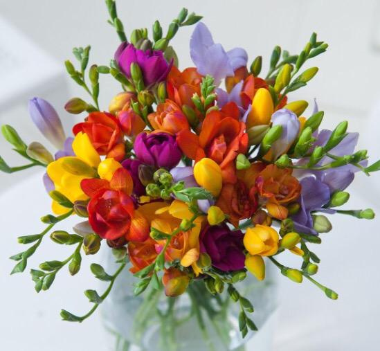  HAPPY BIRTHDAY Karen McCombie!!! Have the best day ever! Lots of love from us all             