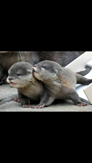 Para ti http://t.co/tZdFCvC1zQ<a href="/tag/cybermonday"class="tags"><span>#cybermonday</span></a>