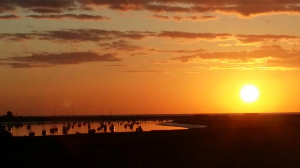 Capel St Andrew Farm tweet media