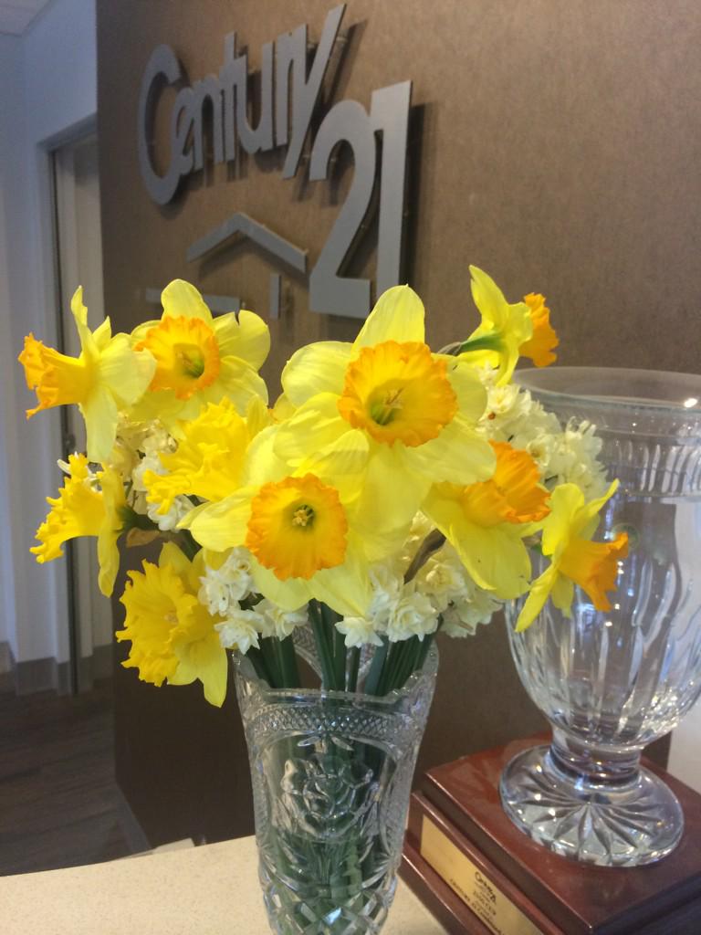#DaffodilDay